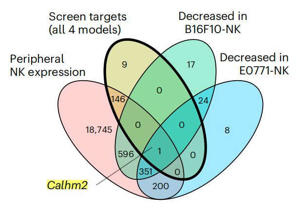 Nature子刊：陳斯迪葉露鵬團隊利用體內(nèi)AAV-睡美人CRISPR篩選技術發(fā)現(xiàn)NK細胞癌癥免疫治療新靶點(圖3)