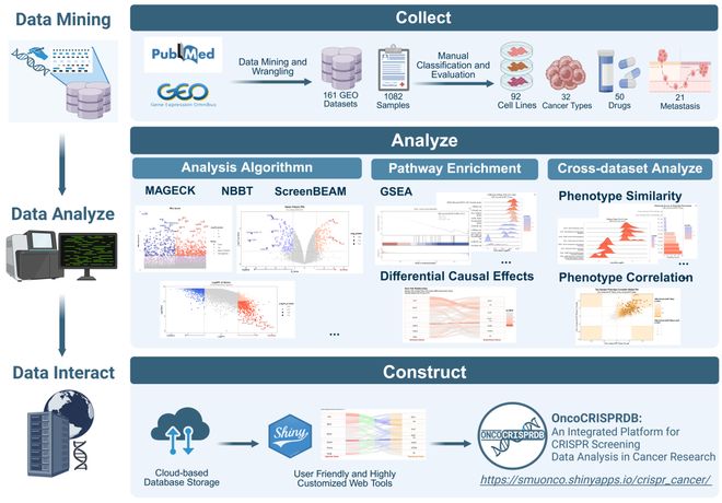 腫瘤CRISPRScreen在線平臺(tái)！重磅推薦！(圖3)